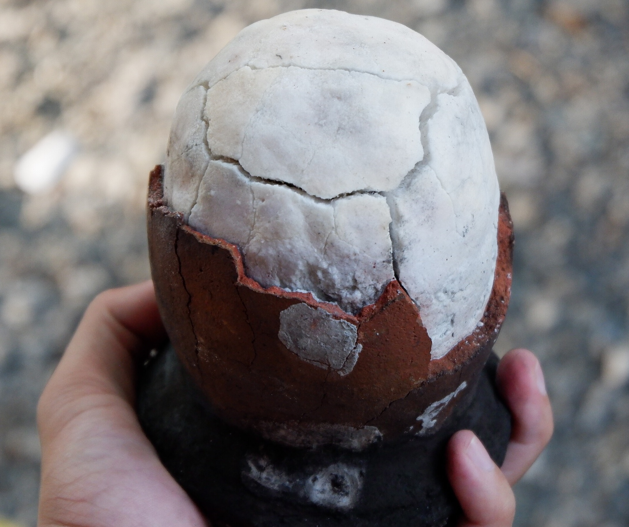 「Alburquerque Asin Tibuok」获注册为地理标志 传统海盐成为菲律宾文化与经济瑰宝