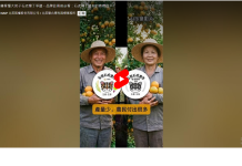 一分鐘看懂大苑子石虎柳丁爭議。品牌註冊前必看:石虎柳丁給你的商標啟示!